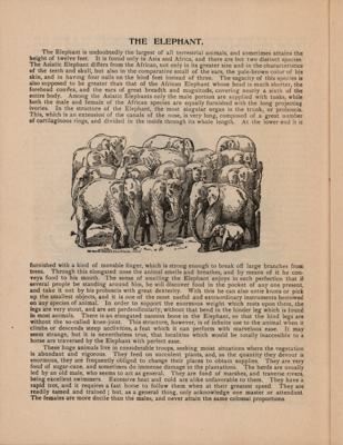 Lot #206 Ringling Brothers (6) Ephemera Lot - Image 6