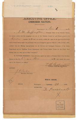 Lot #23 Theodore Roosevelt Document Signed as President, Appropriating Funds for Representatives of the Cherokee Nation - Image 1