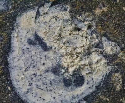 Lot #7393 NWA 8722 Meteorite Slice with CAl inclusions?the oldest solid matter in our Solar System - Image 2