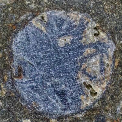 Lot #7393 NWA 8722 Meteorite Slice with CAl inclusions?the oldest solid matter in our Solar System - Image 3