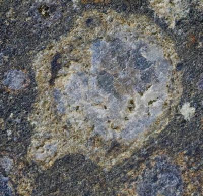 Lot #7393 NWA 8722 Meteorite Slice with CAl inclusions?the oldest solid matter in our Solar System - Image 5