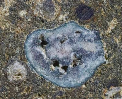 Lot #7393 NWA 8722 Meteorite Slice with CAl inclusions?the oldest solid matter in our Solar System - Image 8