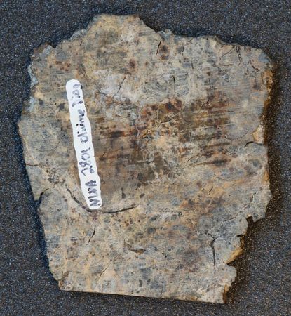 Lot #7392 NWA 2801 Meteorite Slice?from the Asteroid Vesta - Image 5