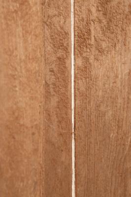 Lot #21 White House Door/Shutter with Hinges - Image 10