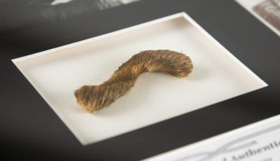 Lot #564 Harry Houdini 'Packing Crate' Illusion Rope Relic - Image 1