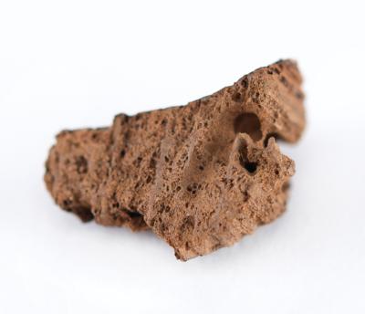 Lot #155 Titanic: Wooden Fragment Recovered from Wreck Site - Image 3