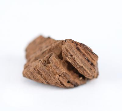 Lot #155 Titanic: Wooden Fragment Recovered from Wreck Site - Image 4