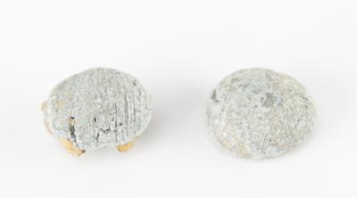Lot #2070 Union Soldier Charles H. Burd Archive with Bullets Extracted From Brain - Image 6