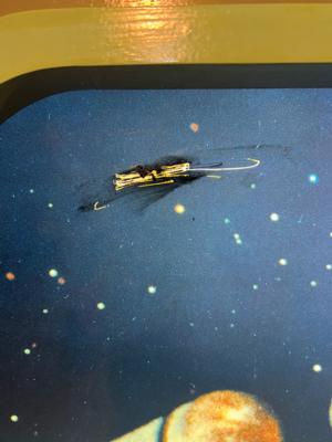 Lot #581 Star Trek: High-Quality 10-Foot-Long Replica Bridge Console Signed by Nichelle Nichols and (3) Next Generation Stars - Image 17