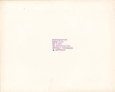 Lot #374 Bob Dylan and Bruce Springsteen Original Photograph by David Gahr - Image 2