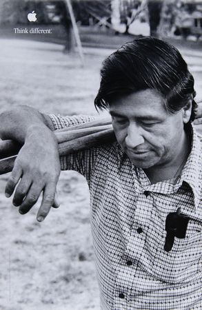 Lot #3108 Apple 'Educator Series' Posters (10) Complete Set with Original Box - Image 3