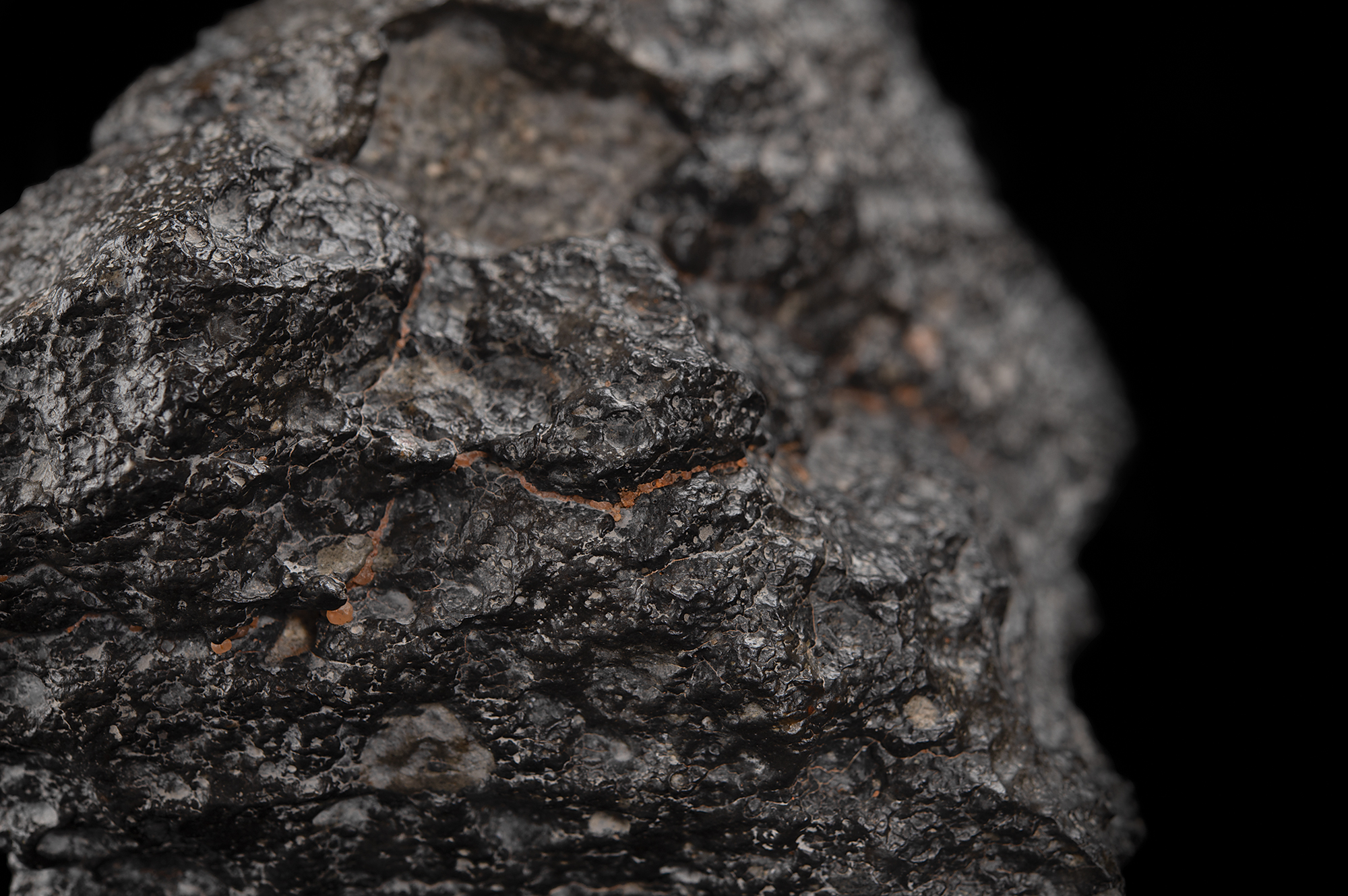 NWA 13951 Lunar Meteorite 'Starry Night' End Cut - Large 2.97
