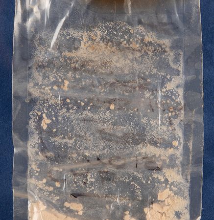 Lot #4165 Apollo 12 Flown Butterscotch Pudding Food Packet ? From the Personal Collection of Alan Bean - Image 4