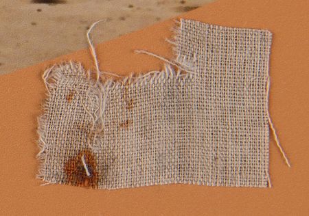 Lot #4501 Wright Flyer Wing Fabric - Image 2