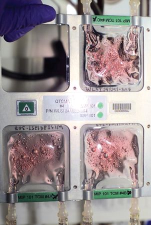 Lot #4384 ISS Flown Quad Tissue Culture Module Assemblies (6) - Image 10