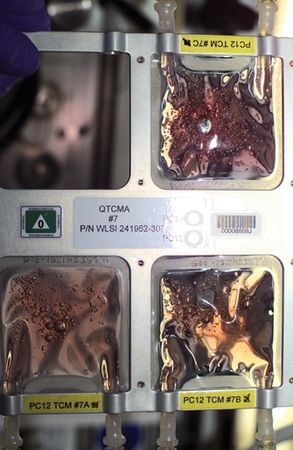 Lot #4384 ISS Flown Quad Tissue Culture Module Assemblies (6) - Image 11