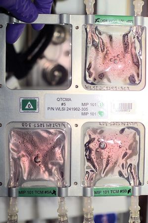 Lot #4384 ISS Flown Quad Tissue Culture Module Assemblies (6) - Image 6