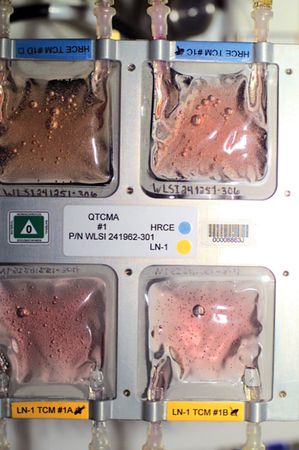 Lot #4384 ISS Flown Quad Tissue Culture Module Assemblies (6) - Image 7