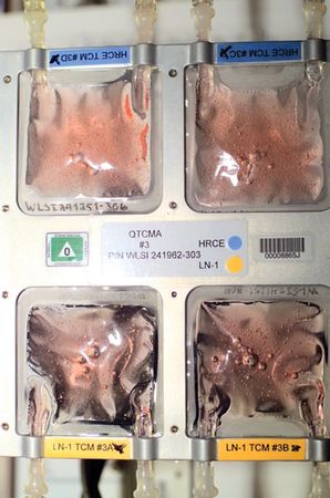 Lot #4384 ISS Flown Quad Tissue Culture Module Assemblies (6) - Image 9