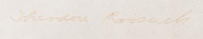Lot #181 Theodore Roosevelt Document Signed as President - Image 3