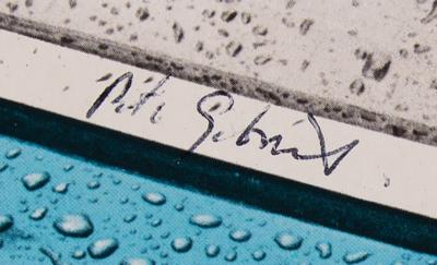 Lot #663 Peter Gabriel Signed Album - Self-Titled - Image 2
