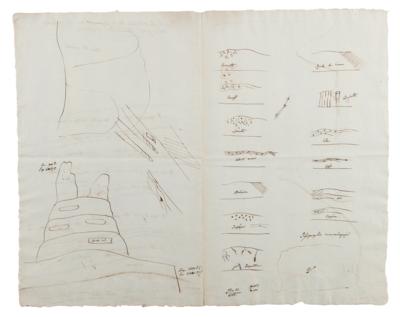 Lot #259 Alexander von Humboldt Autograph Letter Signed with Geological Sketches - Image 7