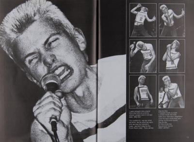 Lot #5229 Punk Books (2) - Punk Rock (Virginia Boston) and The Ramones: An Illustrated Biography - Image 3