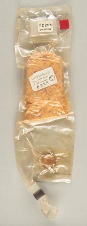 Lot #552 Apollo-Era Space Food - Chicken Salad - Image 1