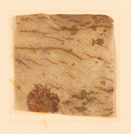 Lot #517 Smithsonian Air & Space Museum Relic Prints (9) with Wright Bros. and Amelia Earhart Collection - Image 17