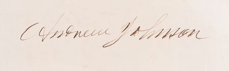 Lot #99 Andrew Johnson Document Signed as President - Image 2