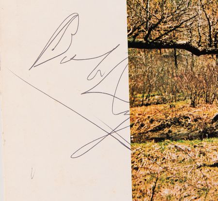 Lot #749 Bob Dylan Signed Album - Self Portrait - Image 2