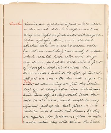 Lot #223 Edith Cavell Hand-Annotated and Initialed Nurse's Notebook - Image 11