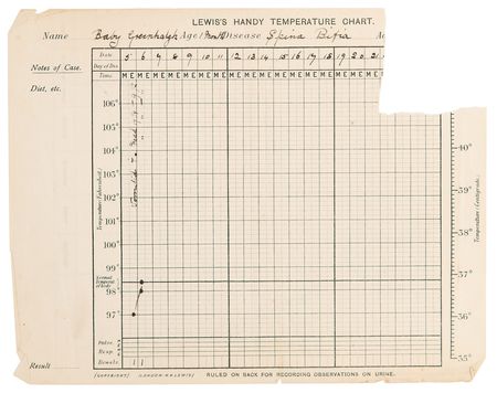 Lot #223 Edith Cavell Hand-Annotated and Initialed Nurse's Notebook - Image 15