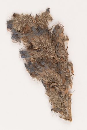 Lot #400 Union Soldier's Letter with Battlefield Flower from the First Battle of Bull Run - Image 6