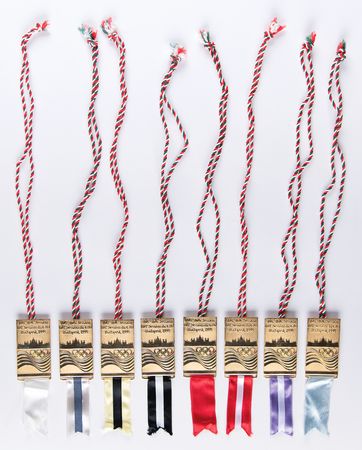 Lot #3221 Budapest 1995 Complete Set of (16) IOC Badges –104th Session - Image 2