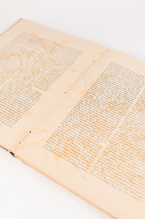 Lot #3263 Athens 1896 Olympics Official Report - Image 11