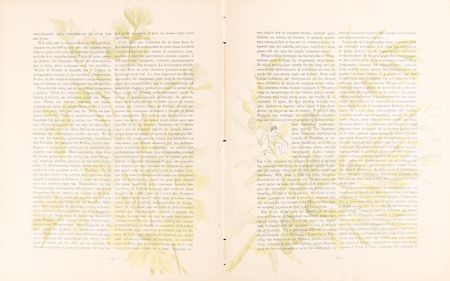 Lot #3263 Athens 1896 Olympics Official Report - Image 6