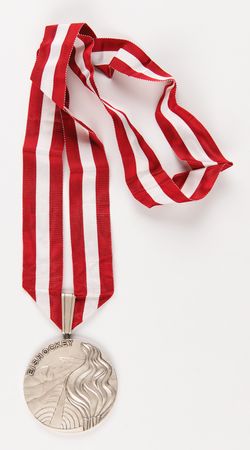 Lot #3090 Innsbruck 1976 Winter Olympics Silver Winner's Medal for Ice Hockey - Image 2