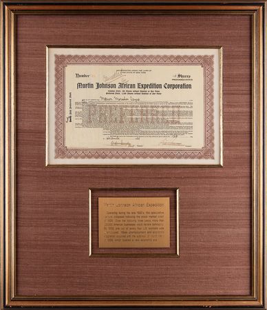 Lot #263 Martin Johnson African Expedition Stock Certificate - Image 1