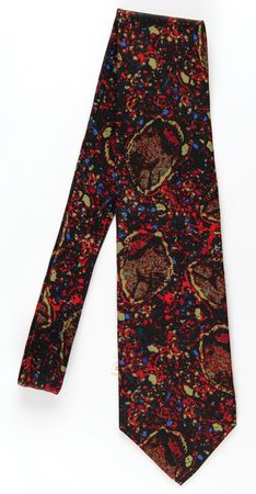 Lot #427 Buzz Aldrin's Personally-Owned 'Moon Rock