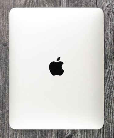 Lot #4204 Apple iPad: First Generation Prototype (2009) - Image 2
