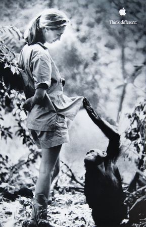 Lot #4181 Apple 'Think Different' Educator Series Complete Poster Set (10) - Image 8