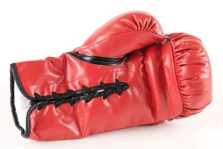 Lot #156 Donald Trump Signed Boxing Glove - Image 2