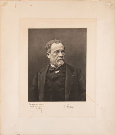Lot #224 Louis Pasteur Signed Oversized Photograph - Image 2