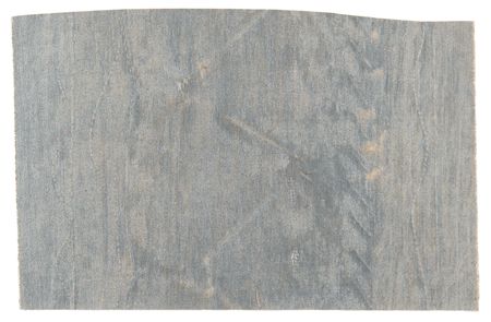 Lot #375 Graf Zeppelin Skin Artifact