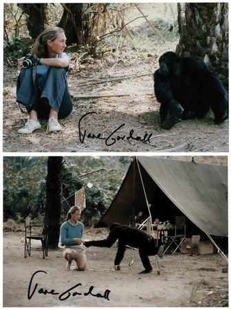Lot #269 Jane Goodall (2) Signed Photographs