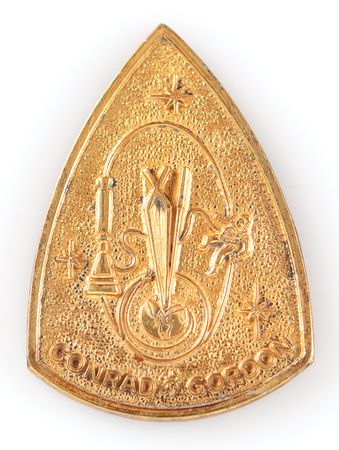 Lot #6035 Gemini 11 Flown Fliteline Medallion - 