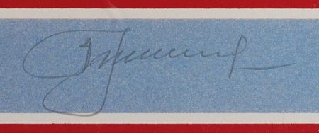 Lot #6432 Apollo-Soyuz Signed Print - Image 5