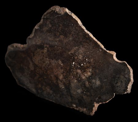 Lot #6516 NWA 12265 Asteroid 4 Vesta Meteorite Slice - Image 3