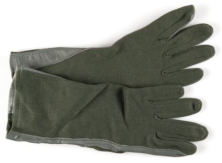 Lot #6147 Buzz Aldrin Signed Pilot's Gloves - Image 3